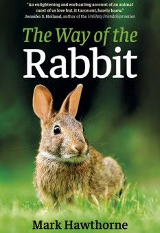 The Way of the Rabbit Online Hot Sale