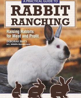 A Practical Guide to Rabbit Ranching Cheap