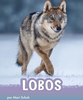 Lobos  Wolves Online now