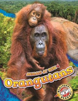 Orangutans Supply