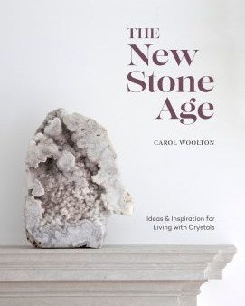 The New Stone Age Cheap